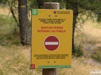 2025-07-27 M. Pelago e Lacs Bessons 039